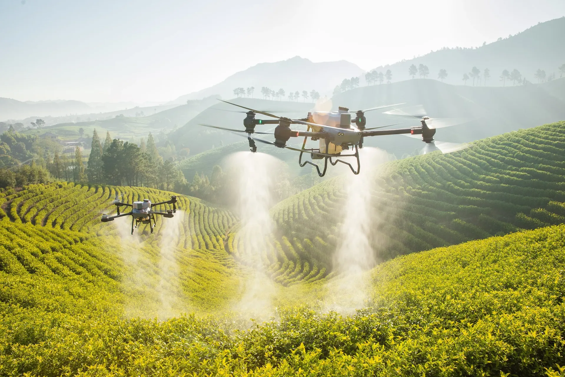 Drone İlaçlama